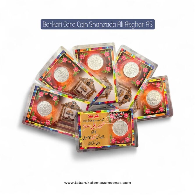 Barkati Ziyarat Card Coin Shahzada Ali Asgher AS