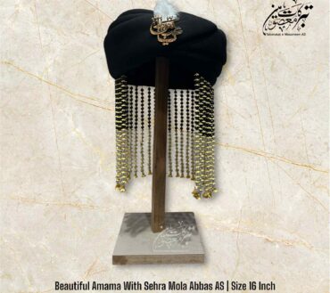 Beautiful Amama With Sehra Mola Abbas AS
