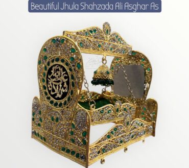 Beautiful Jhula Shahzada Ali Asghar AS