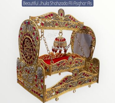 Beautiful Jhula Shahzada Ali Asghar AS