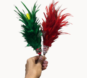 Beautiful Feathers Green & Red