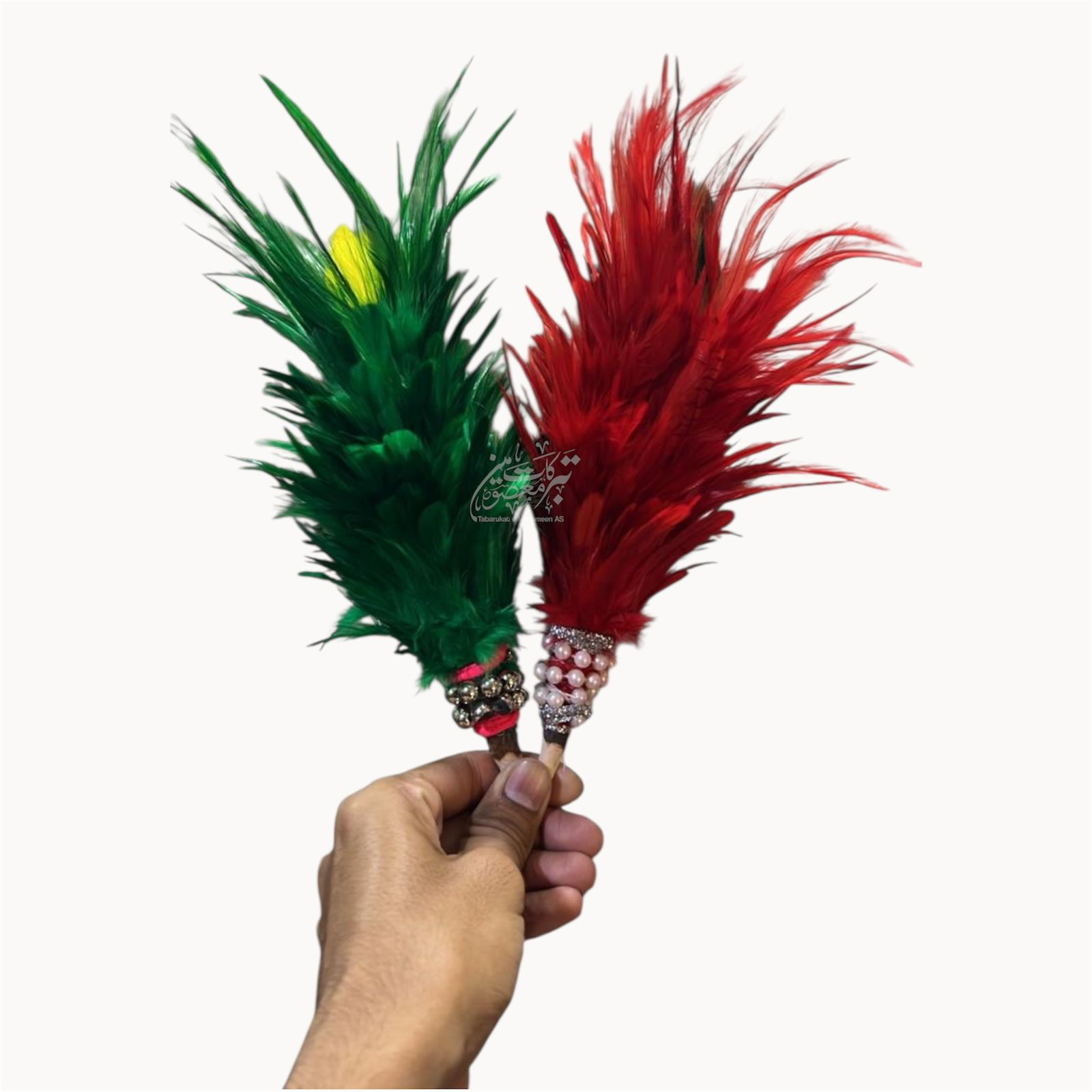 Beautiful Feathers Green & Red
